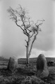 St Colmac Cottages Stone Circle - PID:19389