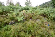 Creag Bhreac Cairn - PID:169046