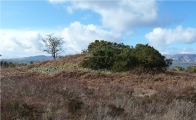 Balure Cairns - PID:87222