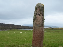 Tirghoil - PID:264437