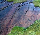 Achnabreck Forest Rock Art