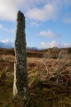 Barnashaig - PID:221260