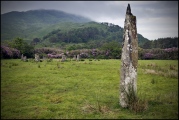 Loch Buie Stone Circle - PID:130491