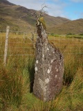 Loch Buie Stone Row - PID:264413