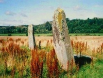 Dunamuck North