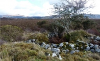 Balure Cairns - PID:87225