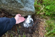 Creag Bhreac Cairn - PID:169049