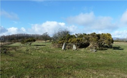 Castle Farm cairns - PID:87176