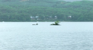 Innis Chonnel Crannog - PID:169453