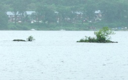 Innis Chonnel Crannog - PID:169456
