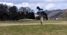 Nether Largie standing stone