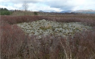 Balure Cairns - PID:87218