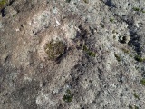 Leckuary Rock Art - PID:216664