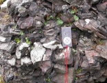 Carradale Point Hillfort - PID:186148