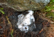Creag Bhreac Cairn - PID:169050