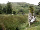 Glennan Standing Stone - PID:109687