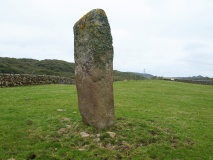 Tirghoil - PID:264438
