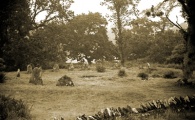 Temple Wood S - PID:47072