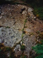 Ormaig - PID:198646