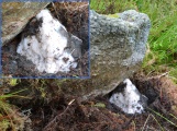 Creag Bhreac Cairn - PID:169064