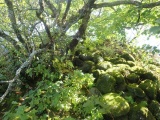 Loch Ederline - PID:216737