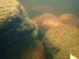 Loch Ederline - PID:216739