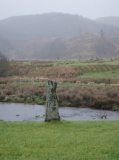 Dunadd Standing Stone