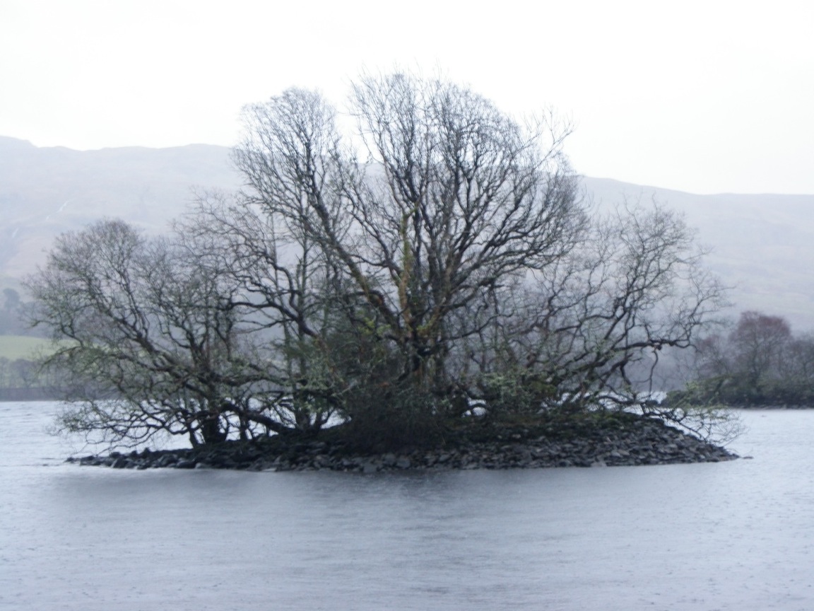 Carn Dubh, Crannog (Loch Awe)