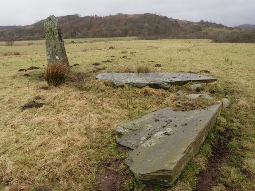 Dunamuck North