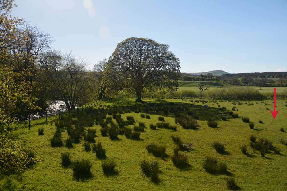 Click for the gallery page to add comments and vote (PID:181281) Will O'Greena''s Stane