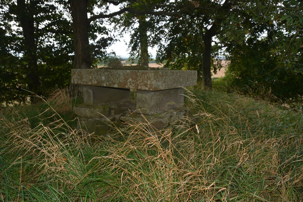 Click for the gallery page to add comments and vote (PID:171658) Haughhead Kip (Eckford)