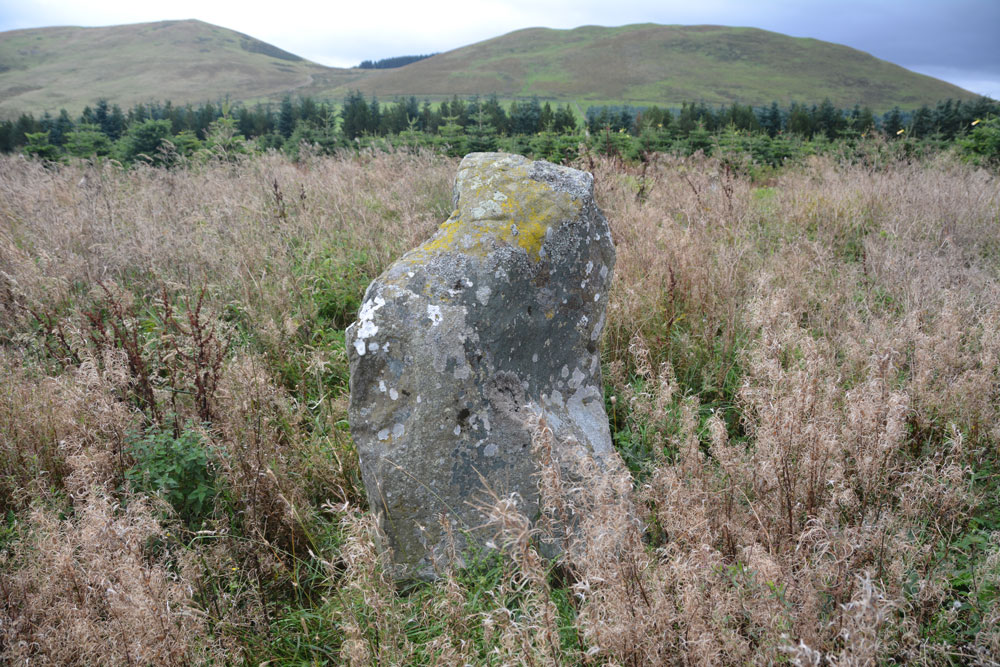 Click for the gallery page to add comments and vote (PID:171645) Moor Head (Brundean Laws)
