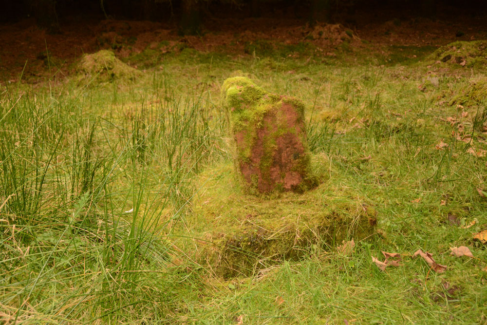 Click for the gallery page to add comments and vote (PID:171891) Dods Corse Stone (Boon)