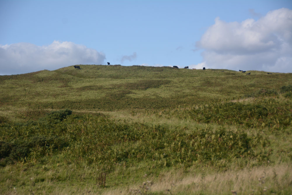 Click for the gallery page to add comments and vote (PID:185424) Whitcastle Hill