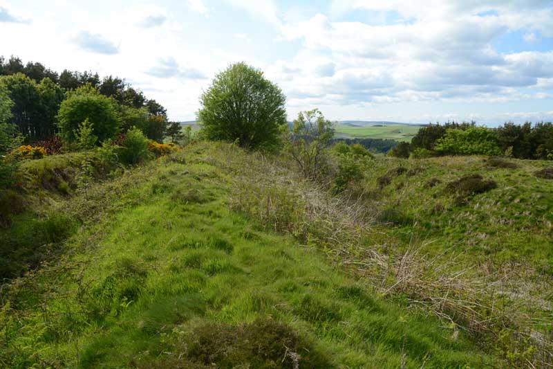 Click for the gallery page to add comments and vote (PID:133046) Preston Cleugh Fort