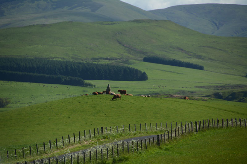 Click for the gallery page to add comments and vote (PID:166428) Ca Knowe (Hawick)