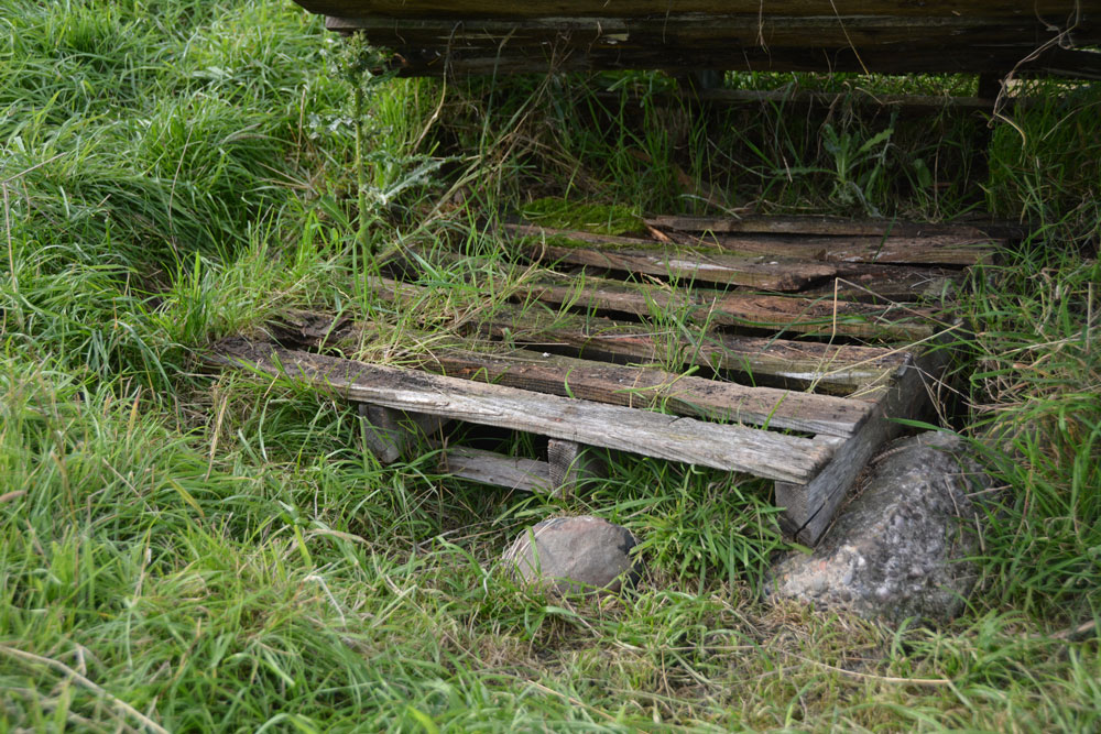 Click for the gallery page to add comments and vote (PID:185581) Monk's Well (Upsettlington)