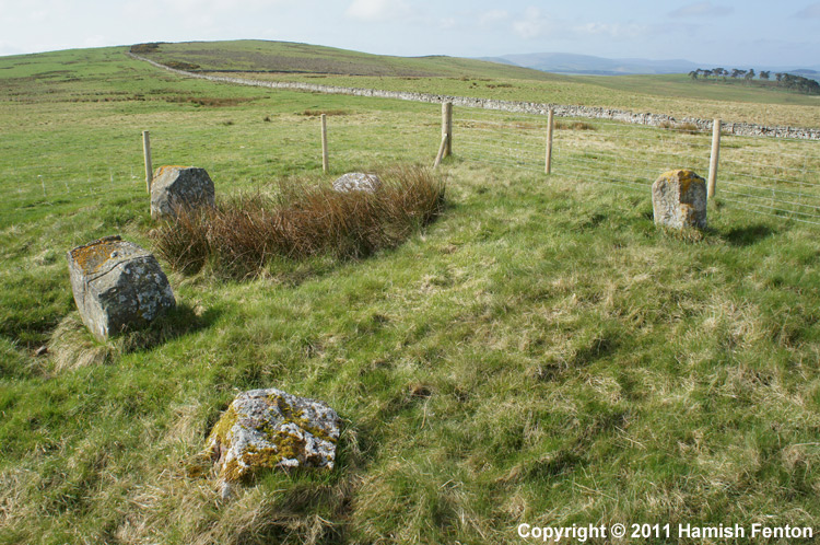 Click for the gallery page to add comments and vote (PID:80528) Five Stanes A