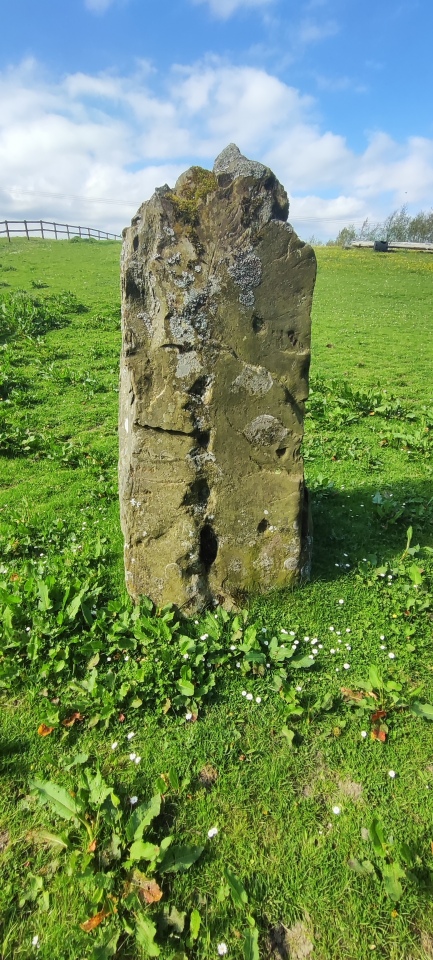 Cambridge Standing Stone