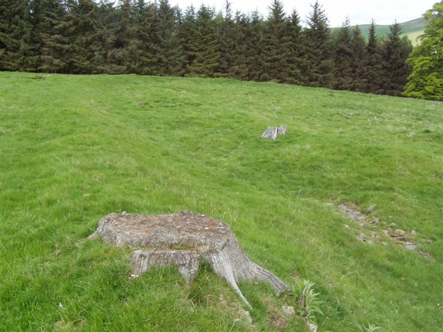 Torwoodlee
