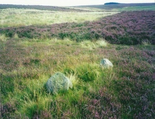 Borrowstone Rig, Scottish Borders | Megalithic Portal