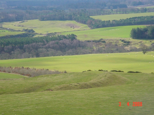 Click for full size image of Raecleughhead (PID:38001) Raecleughhead
