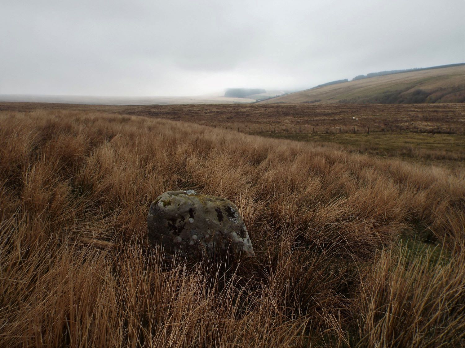 The Buck Stone (Buckstone Rig)