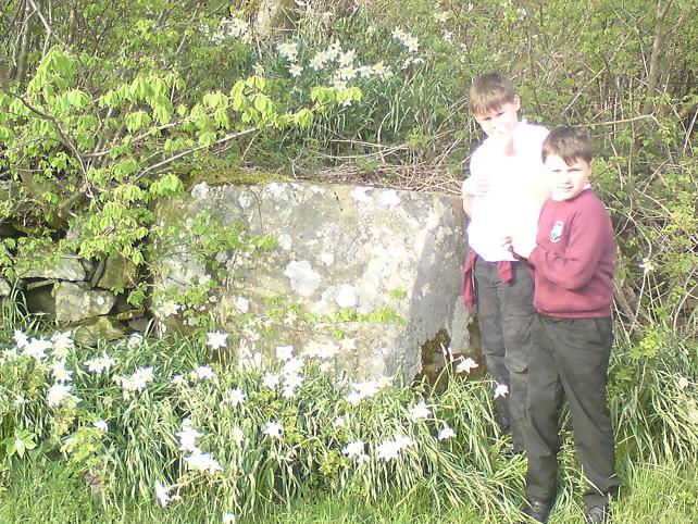 Altar Stone, Stobo