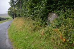 Altar Stone, Stobo