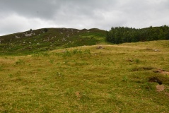 Laigh Hill (Tweeddale)