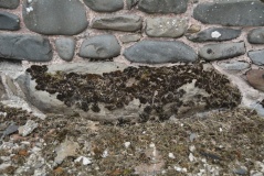 Stobo Kirk standing stone