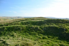 Woden Law