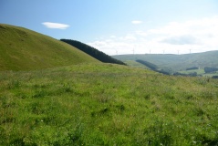 Little Hill (Craig)