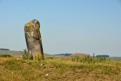 Horseshoe Wood (Hownam)